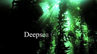 Deap sea sharks - very scary