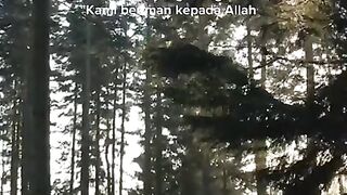 Murotal qur'an