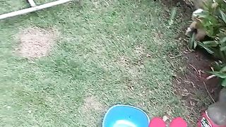 happy puppy