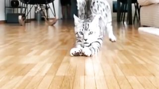 Cutemoment????