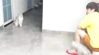 Majikan yang menggemaskan