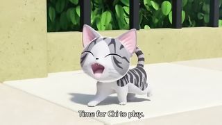 Funny cat 135