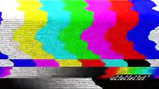 Funny cats and dogs video