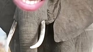Daily Funny and Meme video eps 3