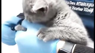 Funny video part 3 2