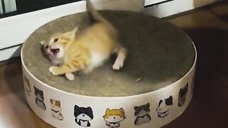 Funny video part 4 2