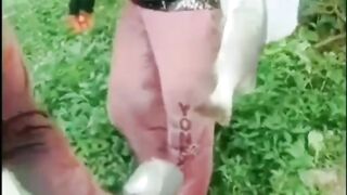 Small fish