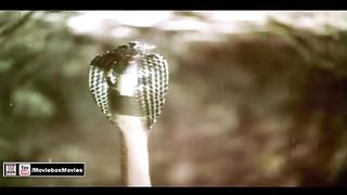 MAAN_WAR_DAYAN_TAN_WAR_DAYANA_(Super_Hit)_-_NOOR_JEHAN_-_NADRA_-_PAKISTANI_FILM_JADOO_GARNI(360p)