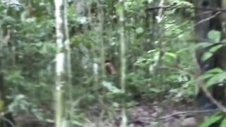 Hasil tangkapan Drone Aneh Tapi Nyata