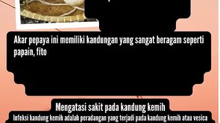 Manfaat Konsumsi Akar Pepaya