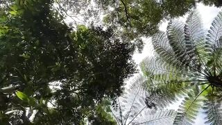 Coba Rondo Malang