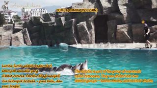 sound of animal 2