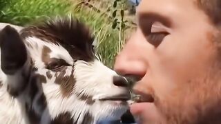 i'm Japanese GOAT