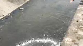 Fishing 16
