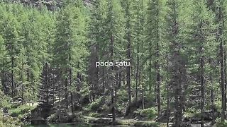 Nature 86
