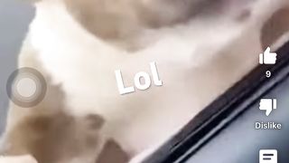 TikTok 43