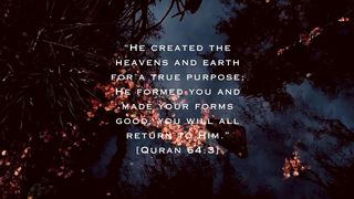 Inspirational Quran verses