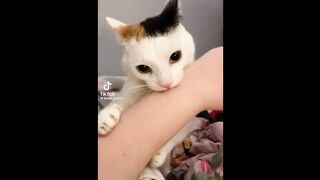 FUNNY MEMES COMPILATION V03