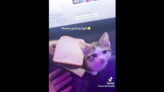 FUNNY MEMES COMPILATION V05