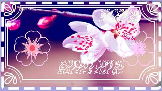 أفلم ينظروا إلى السماء فوقهم كيف بنيناها
