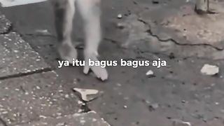 Story Motivation