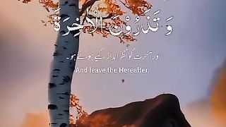 ????کلام الله پاک????