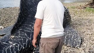 Find Giant broom fish