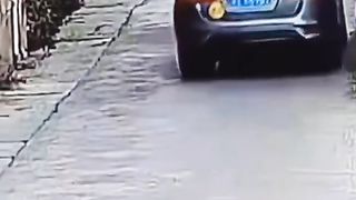 Funny moments car