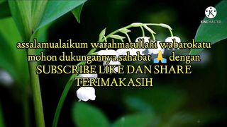 SEKALI PUTAR AYAT INI INSYAALLAH REZEKI DATANG TIBA-TIBA | DOA PENARIK REZEKI
