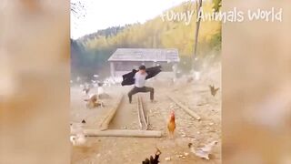 Funniest Dogs And Cats Videos ???? - Best Funny Animal Videos 2022???? #14 2