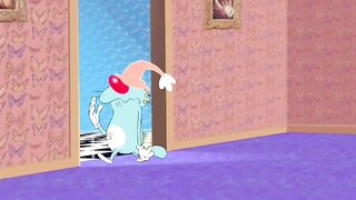 Oggy & kakroches