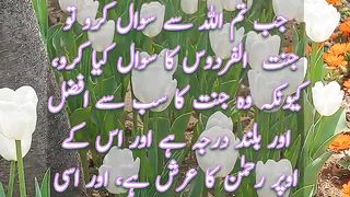 Jannat ul Firdous| Status |Hadees Mubarak