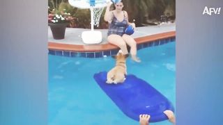 HOWLING For HOOPS! ???????? | Funniest Animals | AFV 2020