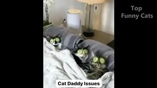 Cat vs Cucumbers Reaction - Cats scared of Cucumbers Compilation - Funny Video 2021 November