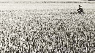 105th Anniversary of the Battle of Belleau Wood