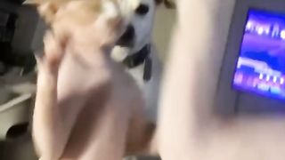 Funny animals - Funny cats and dogs - Funny animal videos 294