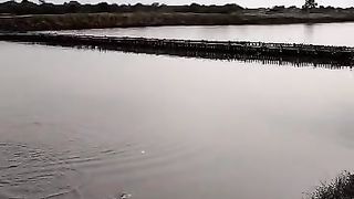 Fishing bandeng
