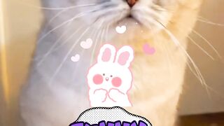 Funny cute