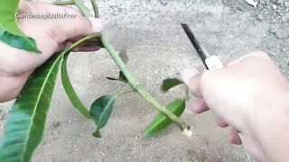 Cutting growing