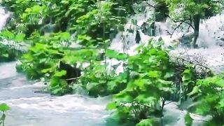Beautiful nature 33