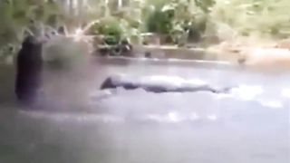 Funny Videos Compilation 6