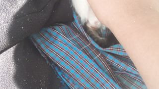 Mola, anak kucing kecil ku yang manis