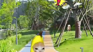 Happi Cat - Banana Cat Cry 1