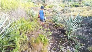 PEAT soil