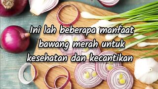 Bawang merah(Onion)