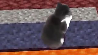 Happi Cat - Minecat Story