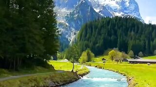Wonderful 6