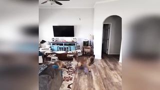 Funny animals - Funny cats and dogs - Funny animal videos / Best videos of April 2023