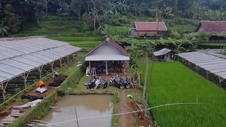 Footage dji mini se 2