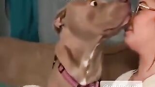 tu me dis wouf ?? !????????